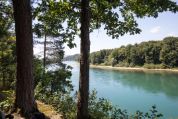 rhein rhein